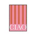 Picture of Ciao Stripes in Pink _GroupedProduct_Rectangle_Portrait_Canvas_Framed_