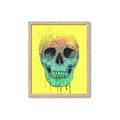 Picture of Street Art Skull _GroupedProduct_Rectangle_Portrait_Framed_Matted_