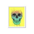Picture of Street Art Skull _GroupedProduct_Rectangle_Portrait_Framed_Matted_