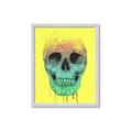 Picture of Street Art Skull _GroupedProduct_Rectangle_Portrait_Framed_Matted_