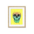 Picture of Street Art Skull _GroupedProduct_Rectangle_Portrait_Framed_Matted_