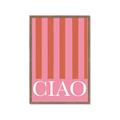 Picture of Ciao Stripes in Pink _GroupedProduct_Rectangle_Portrait_Framed_Matted_