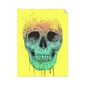 Picture of Street Art Skull _GroupedProduct_Rectangle_Portrait_Unframed_Print_Only_
