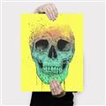 Picture of Street Art Skull _GroupedProduct_Rectangle_Portrait_Canvas_