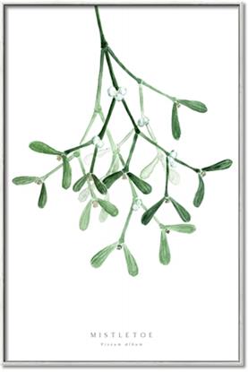 Picture of Under the Mistletoe II