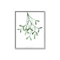 Picture of Under the Mistletoe II _GroupedProduct_Rectangle_Portrait_Canvas_Framed_