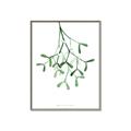Picture of Under the Mistletoe II _GroupedProduct_Rectangle_Portrait_Canvas_Framed_
