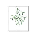 Picture of Under the Mistletoe II _GroupedProduct_Rectangle_Portrait_Canvas_Framed_