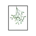 Picture of Under the Mistletoe II _GroupedProduct_Rectangle_Portrait_Canvas_Framed_