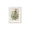 Picture of Under the Mistletoe I _GroupedProduct_Rectangle_Portrait_Framed_Matted_