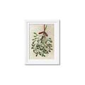 Picture of Under the Mistletoe I _GroupedProduct_Rectangle_Portrait_Framed_Matted_