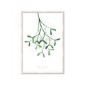 Picture of Under the Mistletoe II _GroupedProduct_Rectangle_Portrait_Framed_Matted_
