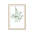 Picture of Under the Mistletoe II _GroupedProduct_Rectangle_Portrait_Framed_Matted_