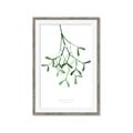 Picture of Under the Mistletoe II _GroupedProduct_Rectangle_Portrait_Framed_Matted_