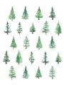 Picture of Christmas Trees _GroupedProduct_Rectangle_Portrait_Unframed_Print_Only_