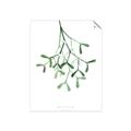 Picture of Under the Mistletoe II _GroupedProduct_Rectangle_Portrait_Unframed_Print_Only_