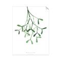 Picture of Under the Mistletoe II _GroupedProduct_Rectangle_Portrait_Unframed_Print_Only_