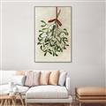 Picture of Under the Mistletoe I _GroupedProduct_Rectangle_Portrait_Canvas_Framed_