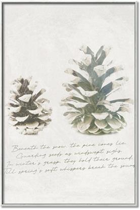 Picture of Pinecone Tidings II