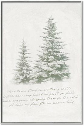 Picture of Winter Wonderland Trees