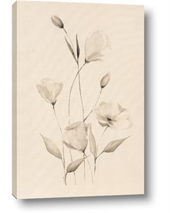 Picture of The Language of Petals I