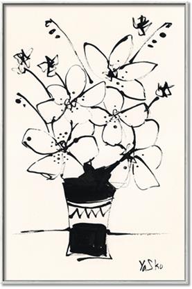 Picture of Bloom in Contrast