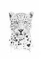 Picture of Lovely leopard _GroupedProduct_Rectangle_Portrait_Unframed_Print_Only_