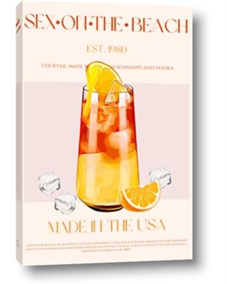 Picture of Sex on the Beach Drink