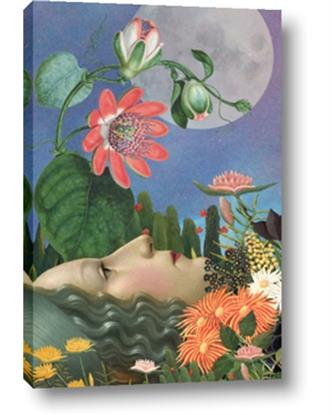 Picture of Summer Insomnia