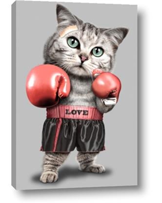 Picture of Boxing cat