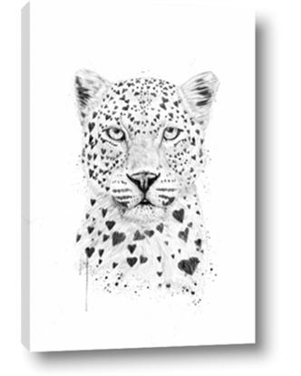 Picture of Lovely leopard