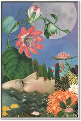 Picture of Summer Insomnia