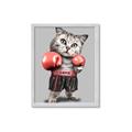 Picture of Boxing cat _GroupedProduct_Rectangle_Portrait_Framed_Matted_