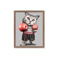 Picture of Boxing cat _GroupedProduct_Rectangle_Portrait_Framed_Matted_