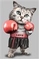 Picture of Boxing cat _GroupedProduct_Rectangle_Portrait_Unframed_Print_Only_
