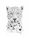 Picture of Lovely leopard _GroupedProduct_Rectangle_Portrait_Unframed_Print_Only_