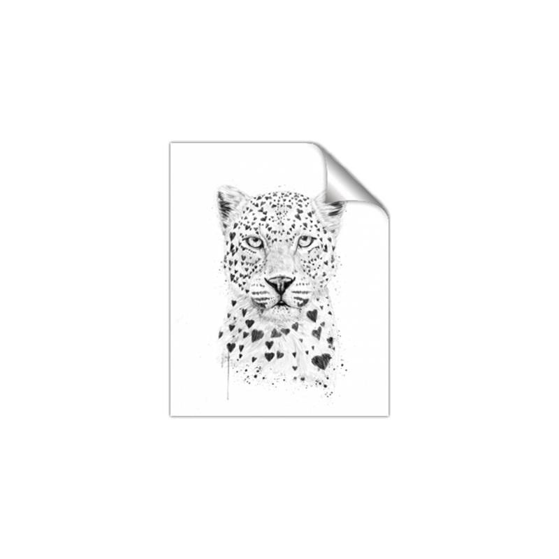 Picture of Lovely leopard _GroupedProduct_Rectangle_Portrait_Unframed_Print_Only_