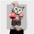Picture of Boxing cat _GroupedProduct_Rectangle_Portrait_Canvas_