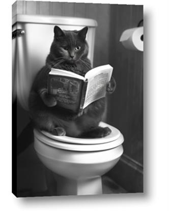 Picture of Plus Size Kitty on the Loo