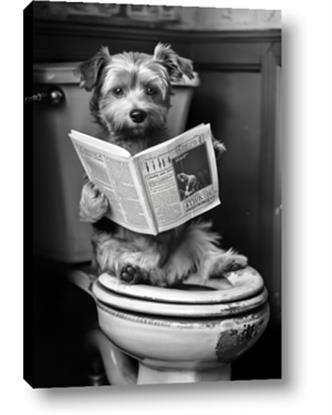 Picture of Potty Pooch
