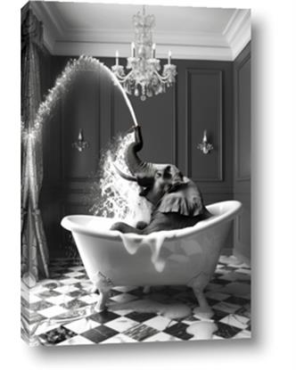 Picture of Splish Splash Safari