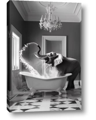 Picture of Joyful Elephant Bath Time