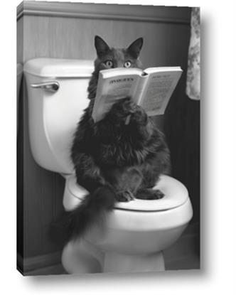 Picture of Kitty Cat Throne Room