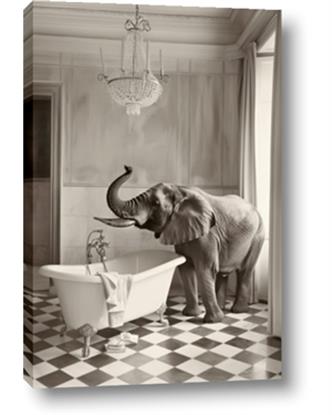 Picture of Luxuary Elephant