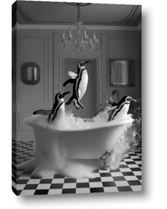 Picture of Penguin Party