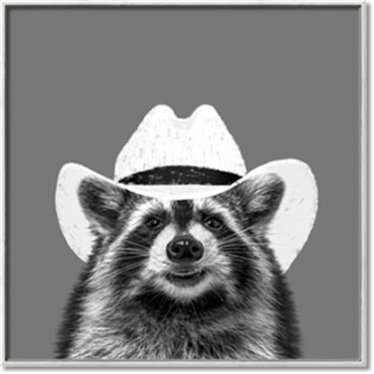 Picture of Wyatt The Cowboy Raccoon