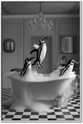Picture of Penguin Party