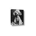Picture of Spa Day Pooch _GroupedProduct_Rectangle_Portrait_Canvas_