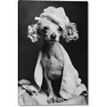Picture of Spa Day Pooch _GroupedProduct_Rectangle_Portrait_Canvas_