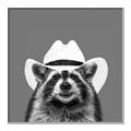 Picture of Wyatt The Cowboy Raccoon _GroupedProduct_Square_Canvas_Framed_
